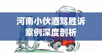 河南小伙酒驾胜诉案例深度剖析