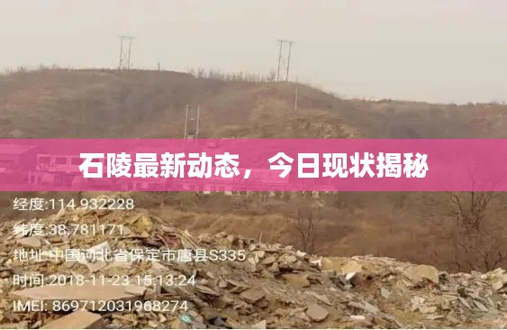 石陵最新动态，今日现状揭秘