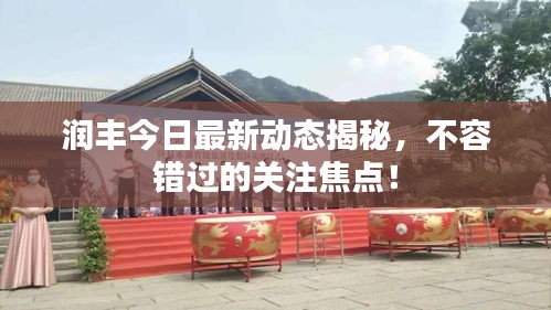 润丰今日最新动态揭秘，不容错过的关注焦点！