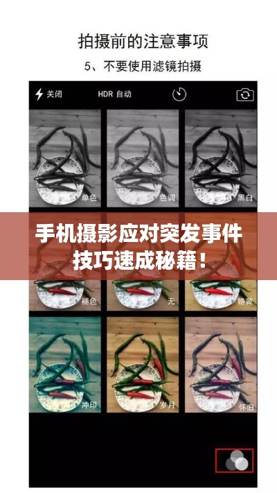 手机摄影应对突发事件技巧速成秘籍！