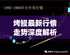 烤鳗最新行情走势深度解析