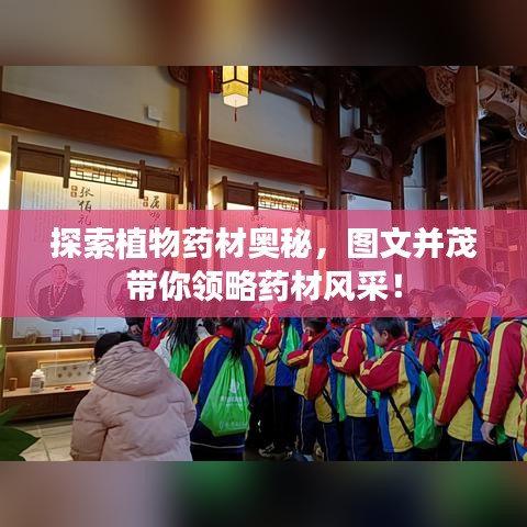 探索植物药材奥秘，图文并茂带你领略药材风采！