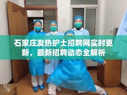 石家庄发热护士招聘网实时更新，最新招聘动态全解析