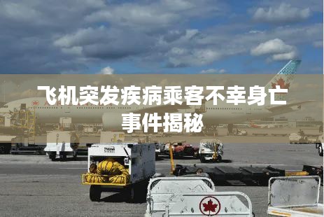 飞机突发疾病乘客不幸身亡事件揭秘